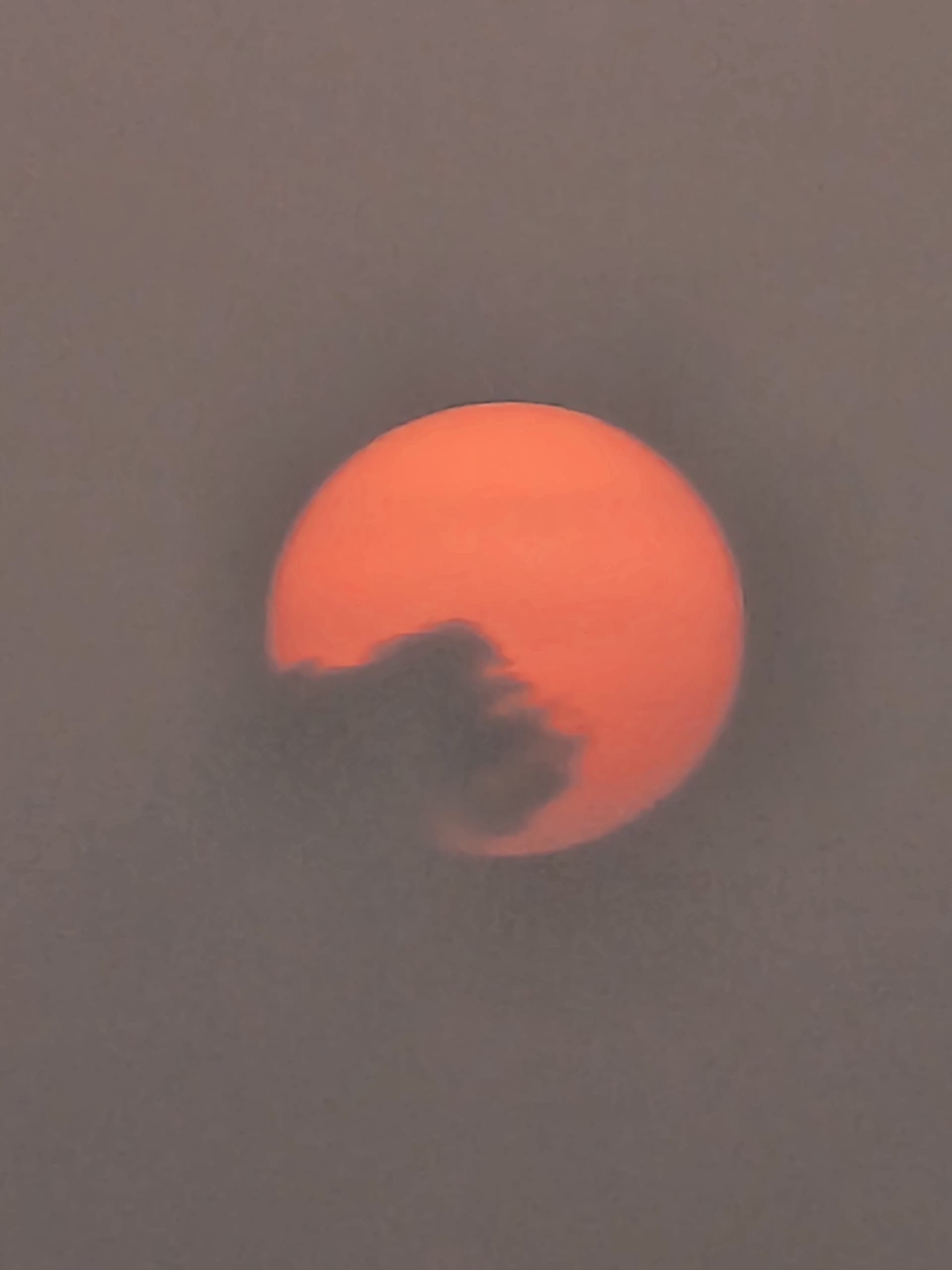 Our Sun